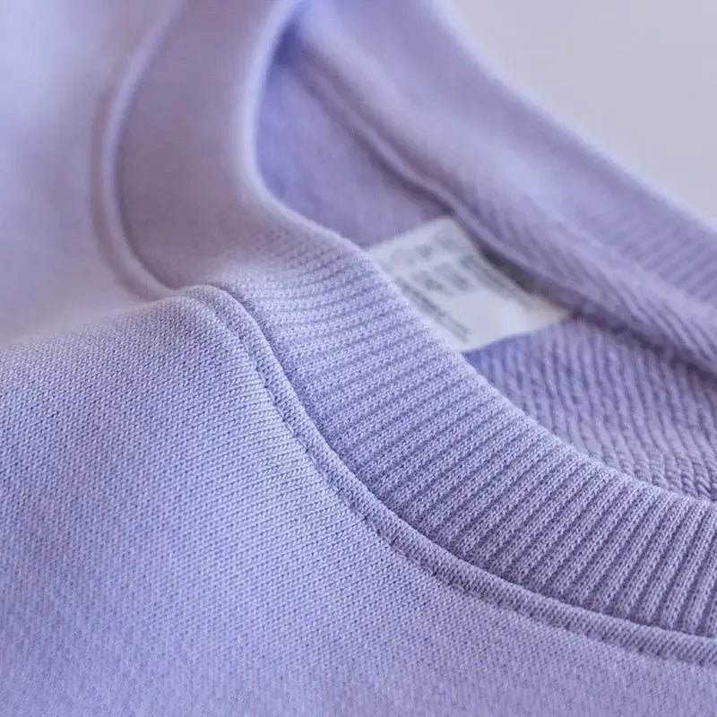 Autumn Heavyweight Cotton Round Neck Sweater Solid Loose Simple Sports Harajuku Top for Men and Women Pullover