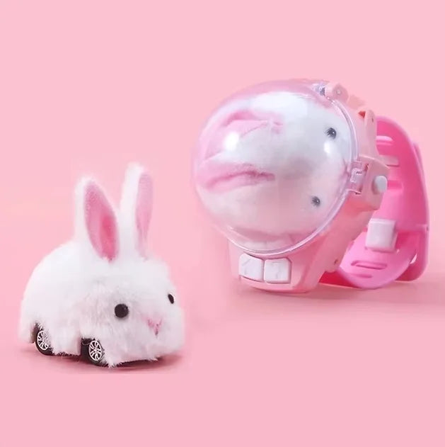 2.4G Capibala Rabbit Dog Plush Watch Remote Control Car Mini Electric Car Children's Toy Racing Christmas Gift