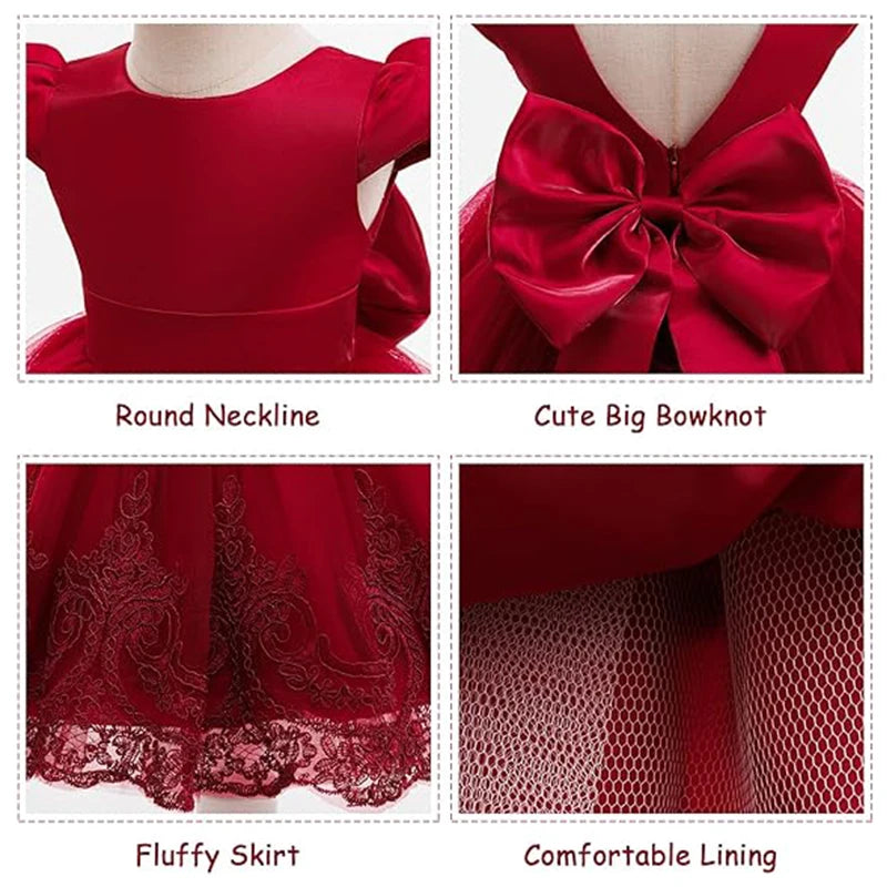 2025 Toddler Christmas Party Baby Dresses Flower Embroidery Princess Dress Girls 1st Birthday Party Baptism Infant Dress Gown