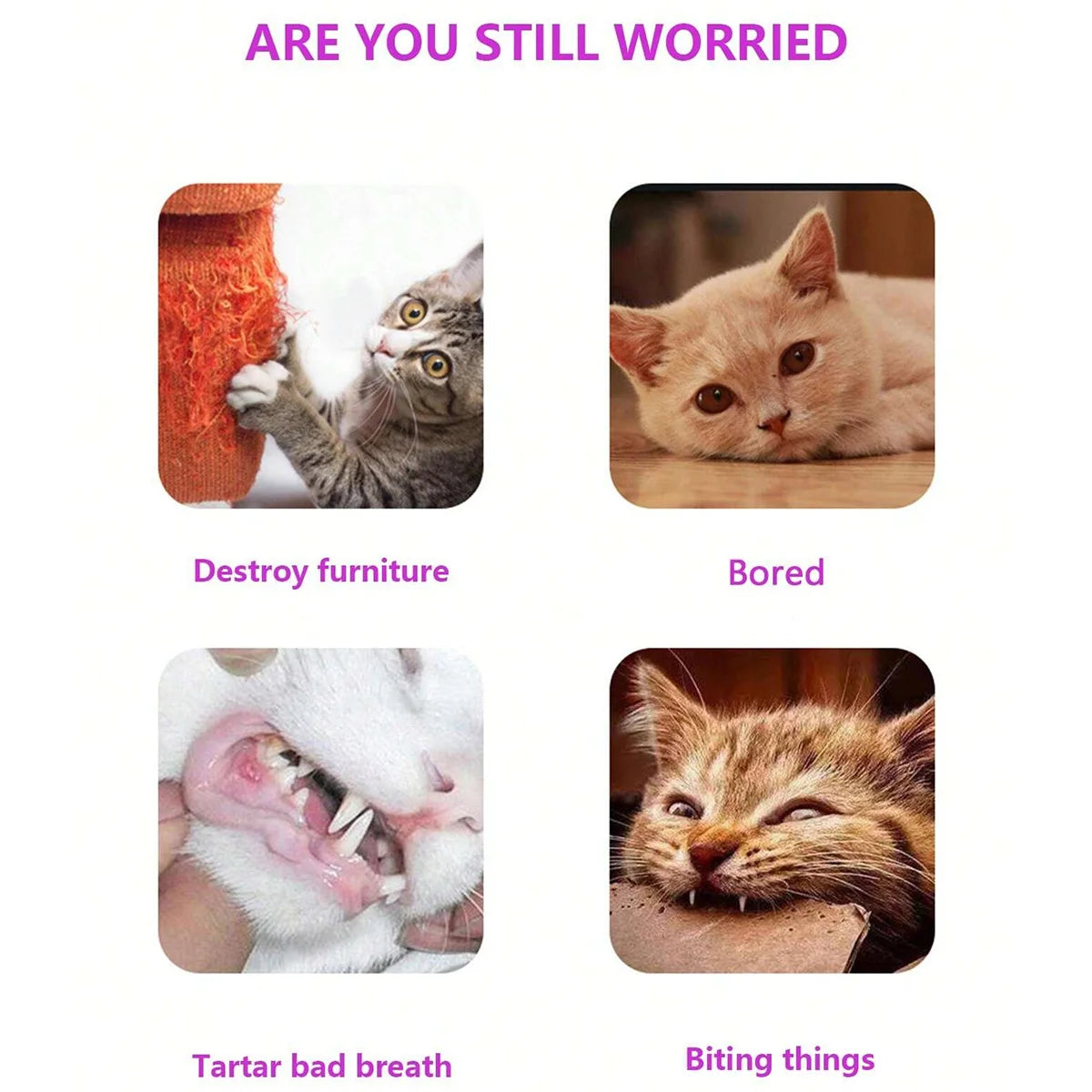 Cute Interactive Octopus Shaped Cat Plush Toy for Relieve Boredom Bite Resistant Cat Toy for Teeth Cleaning Pet Supplies for Cat