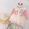 Baby Girl Dress Spring and Autumn Baby Korean Style Cute Long Sleeve Dress Casaul Round Neck Sweet Pink Dress