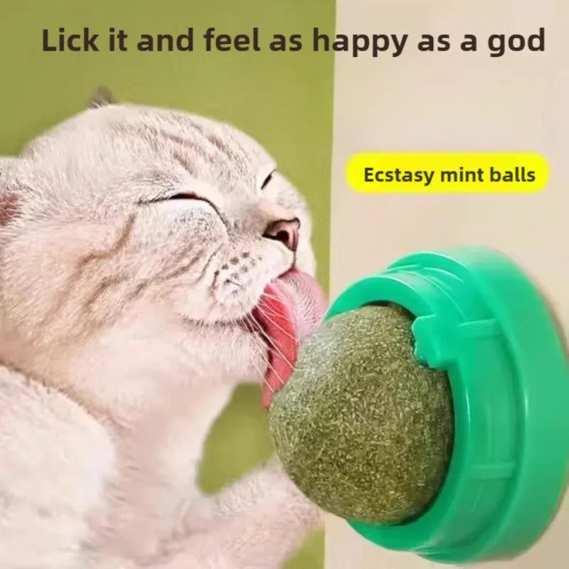 New Cat Mint Toy Rotating  Mint Ball Baby  Snacks Cat Grass Plant Hair Transformation Pet Products Catnip